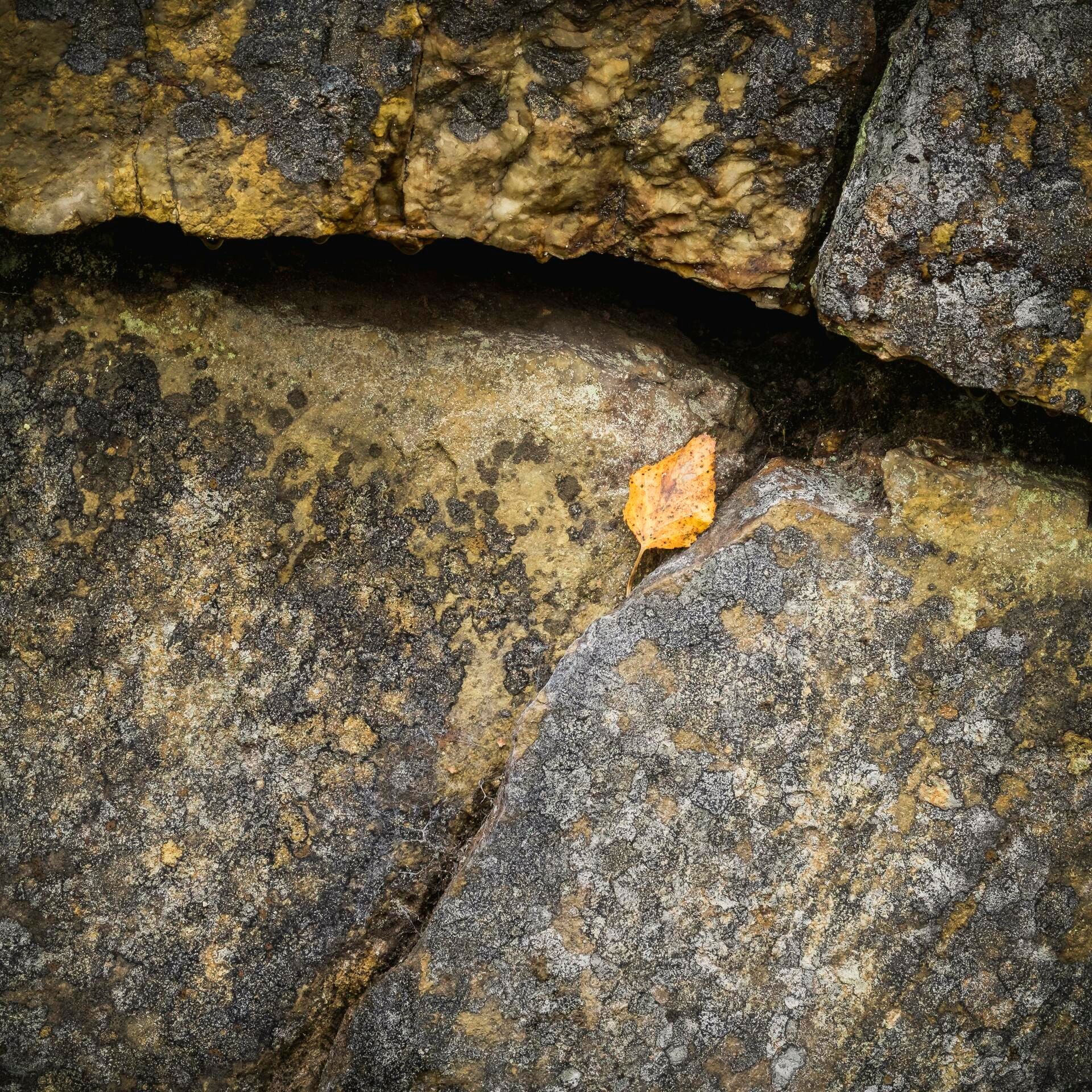 Landscape Photograph