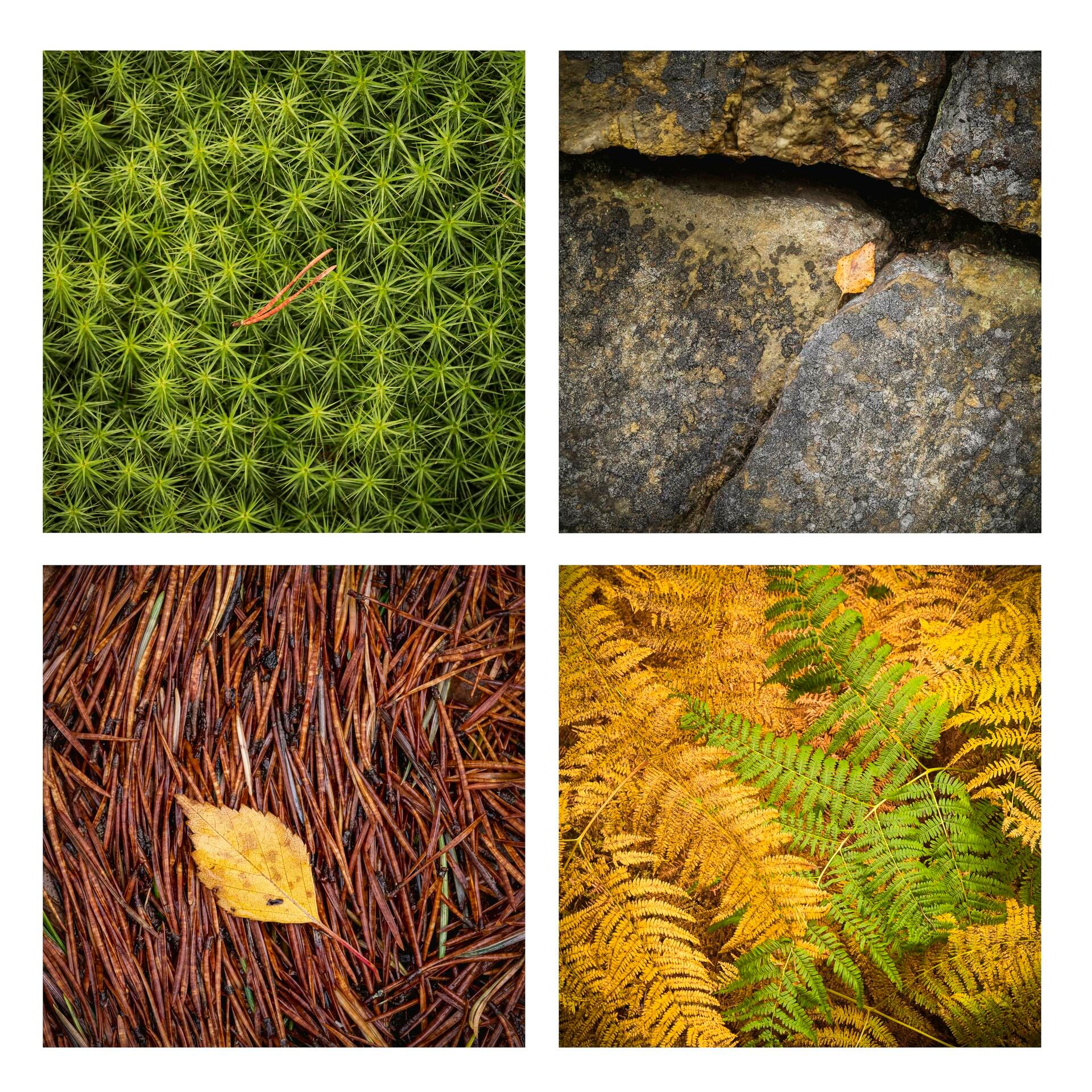 Landscape Photograph