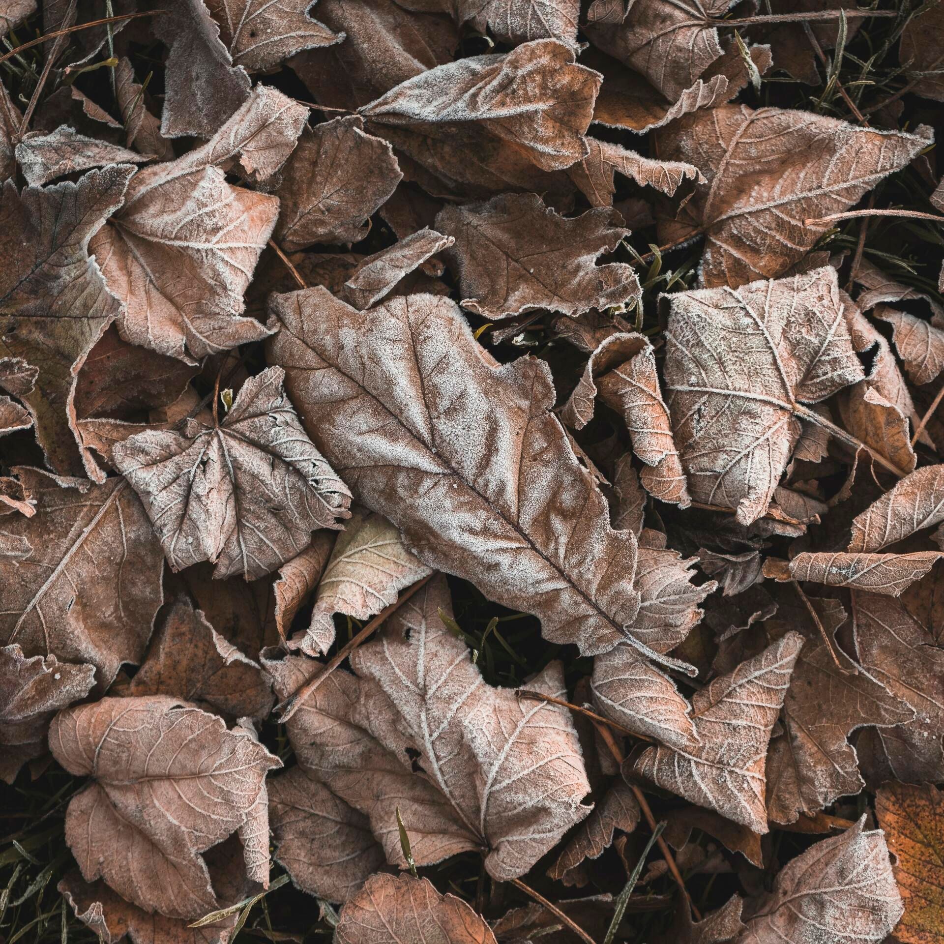 Landscape Photograph