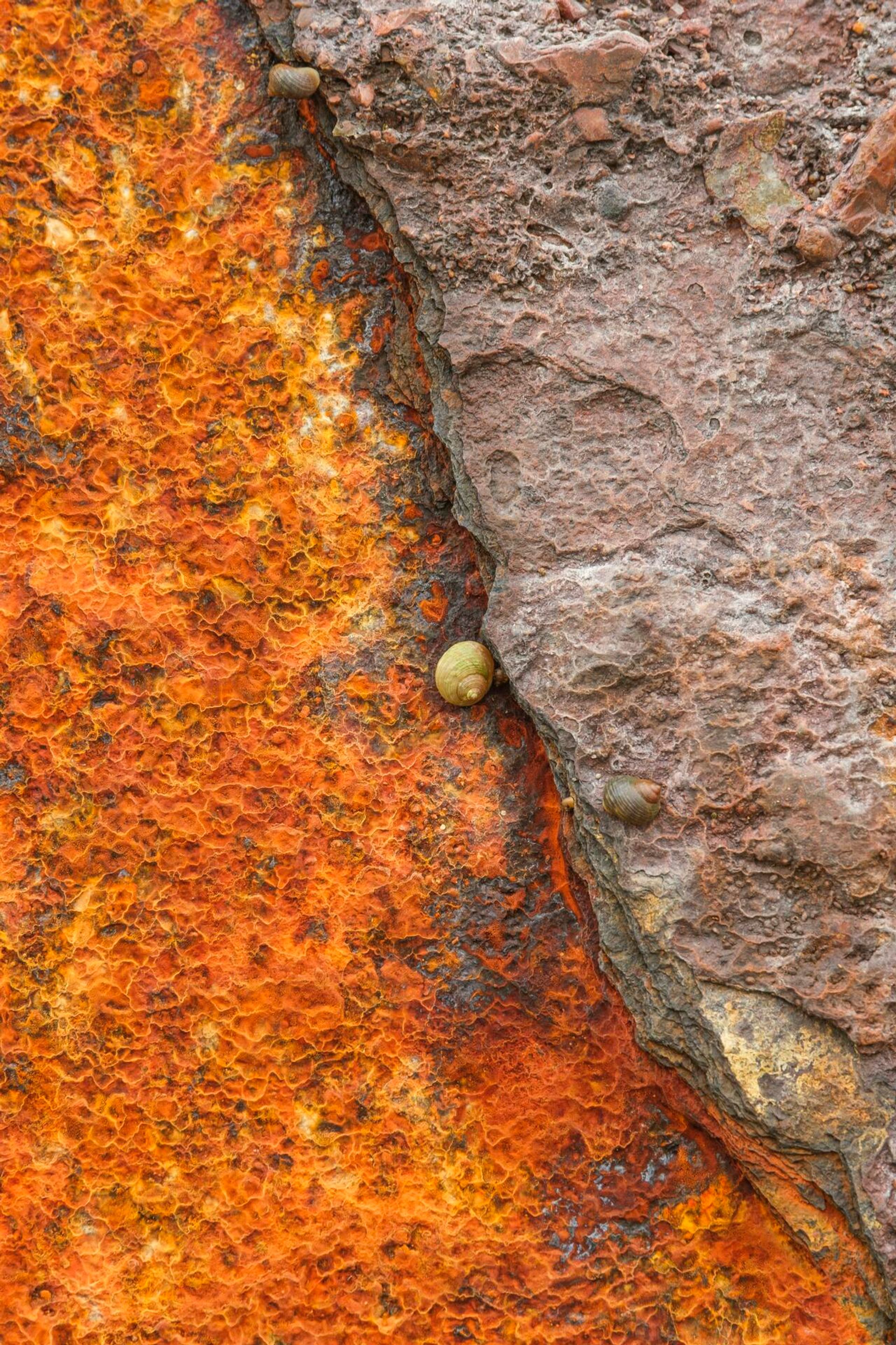 Landscape Photograph