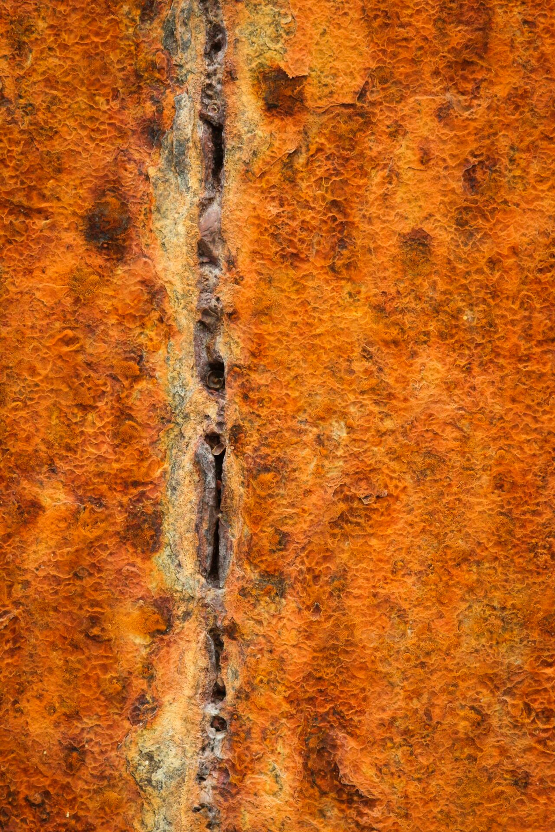 Landscape Photograph