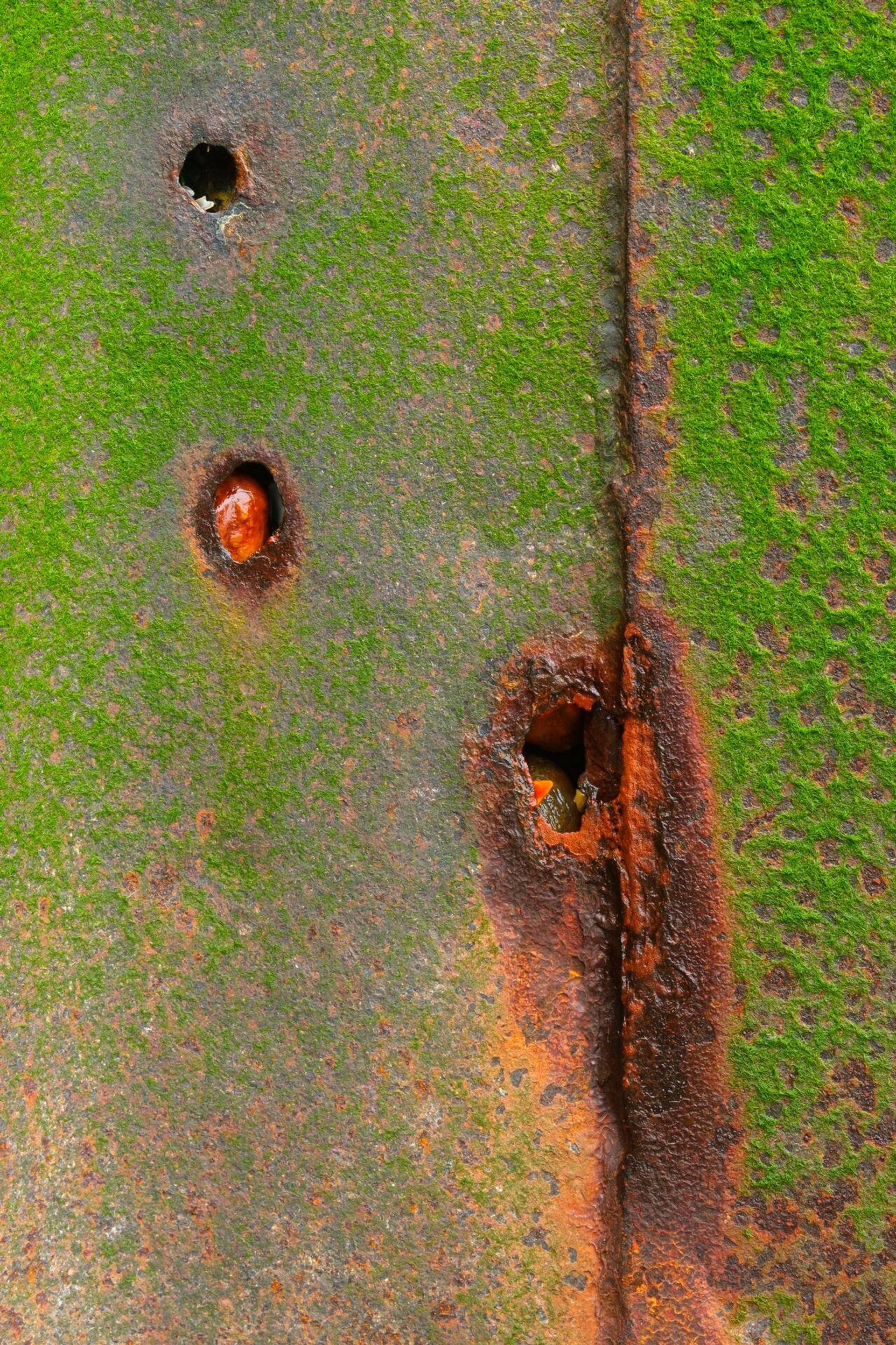 Landscape Photograph