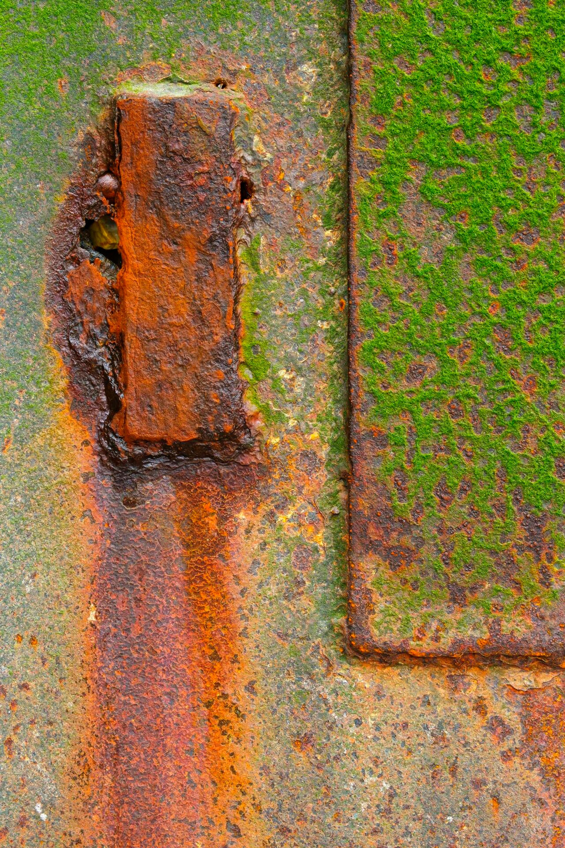 Landscape Photograph