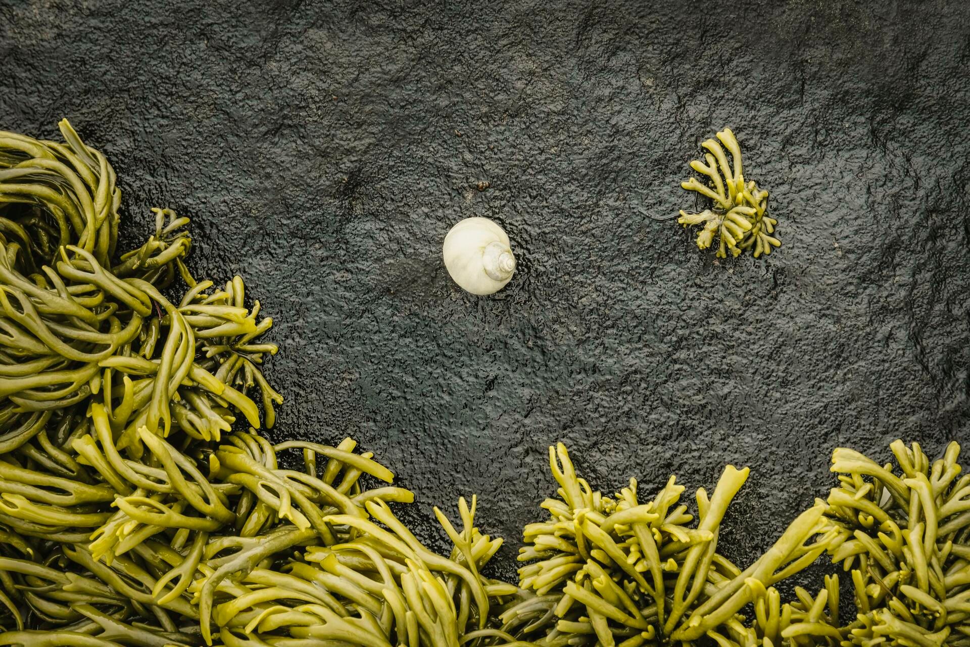 Landscape Photograph