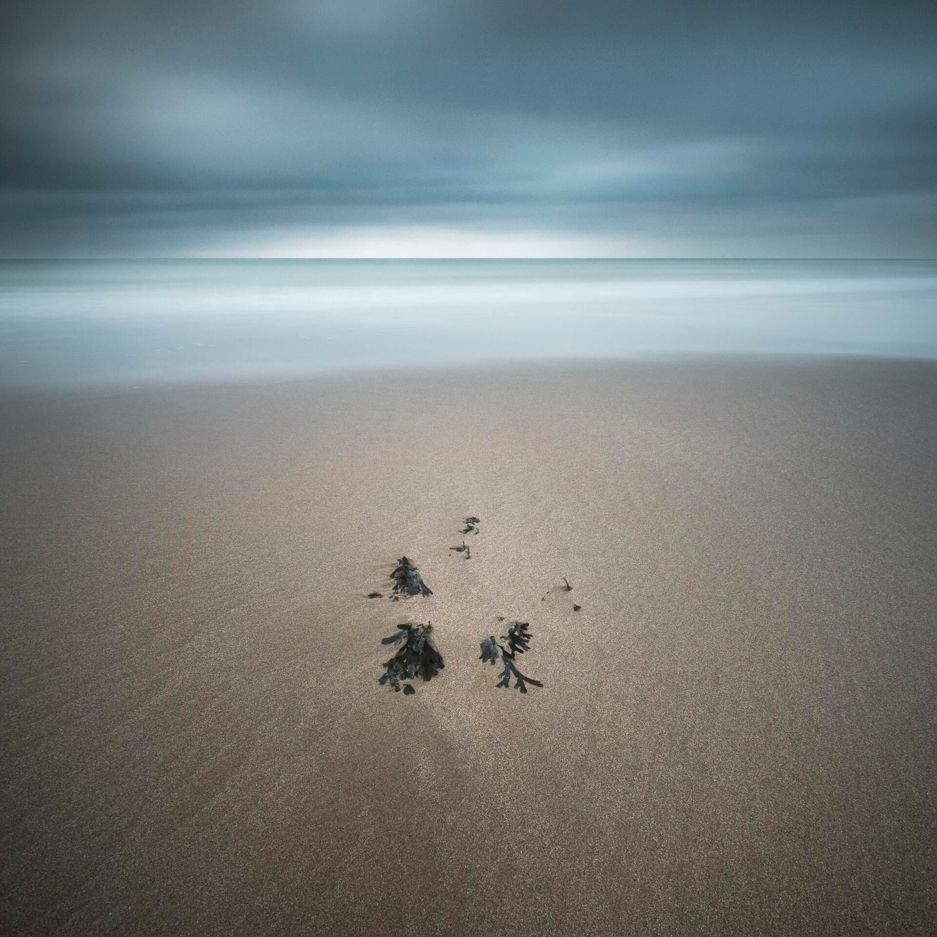 Landscape Photograph