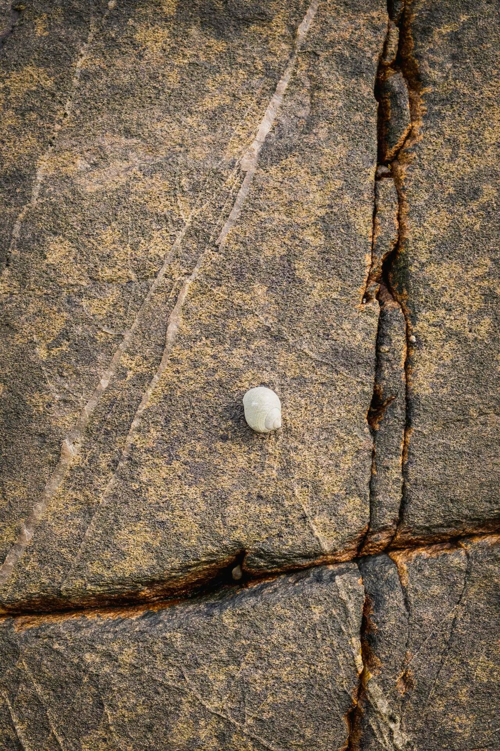 Landscape Photograph