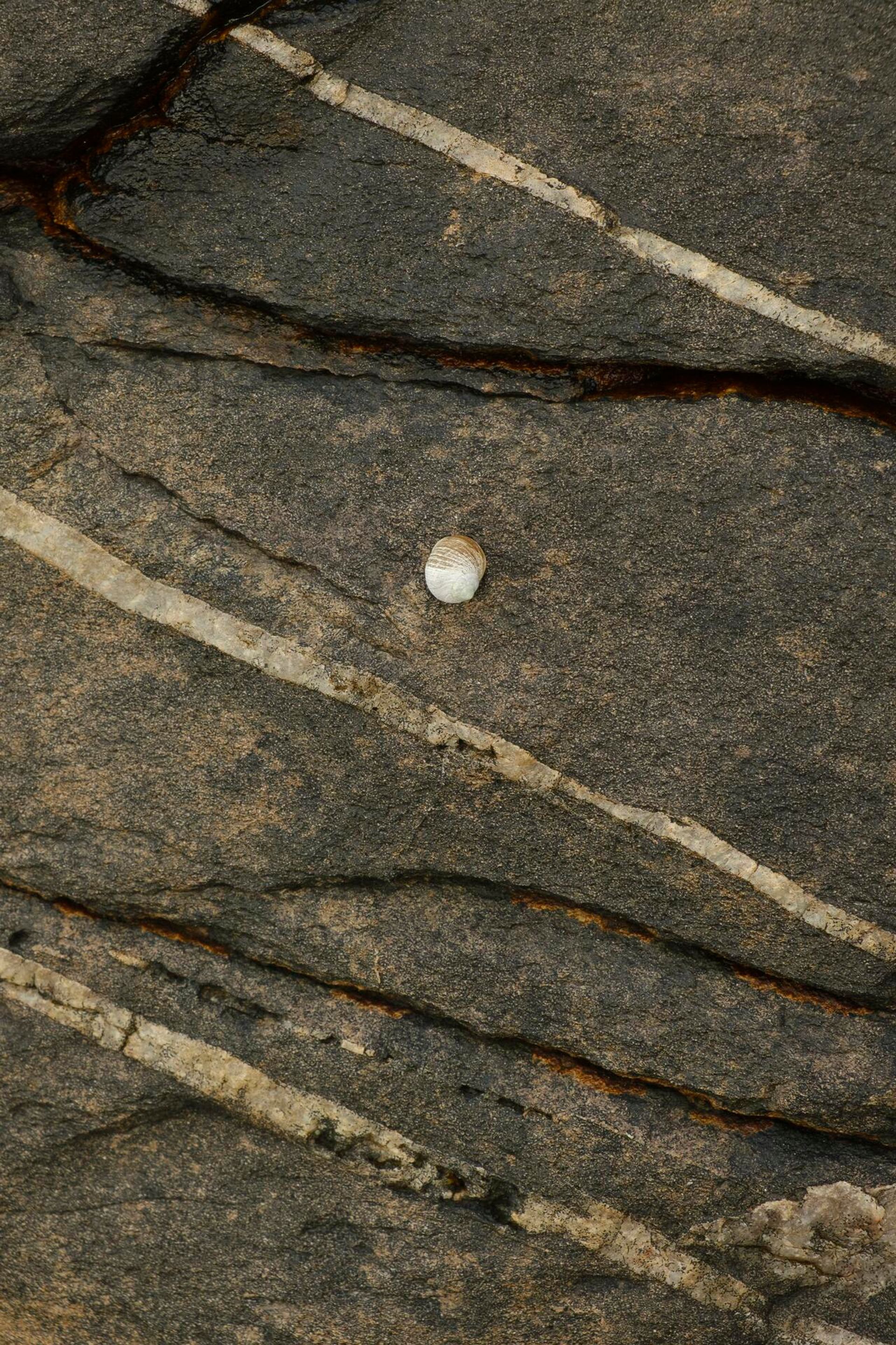 Landscape Photograph