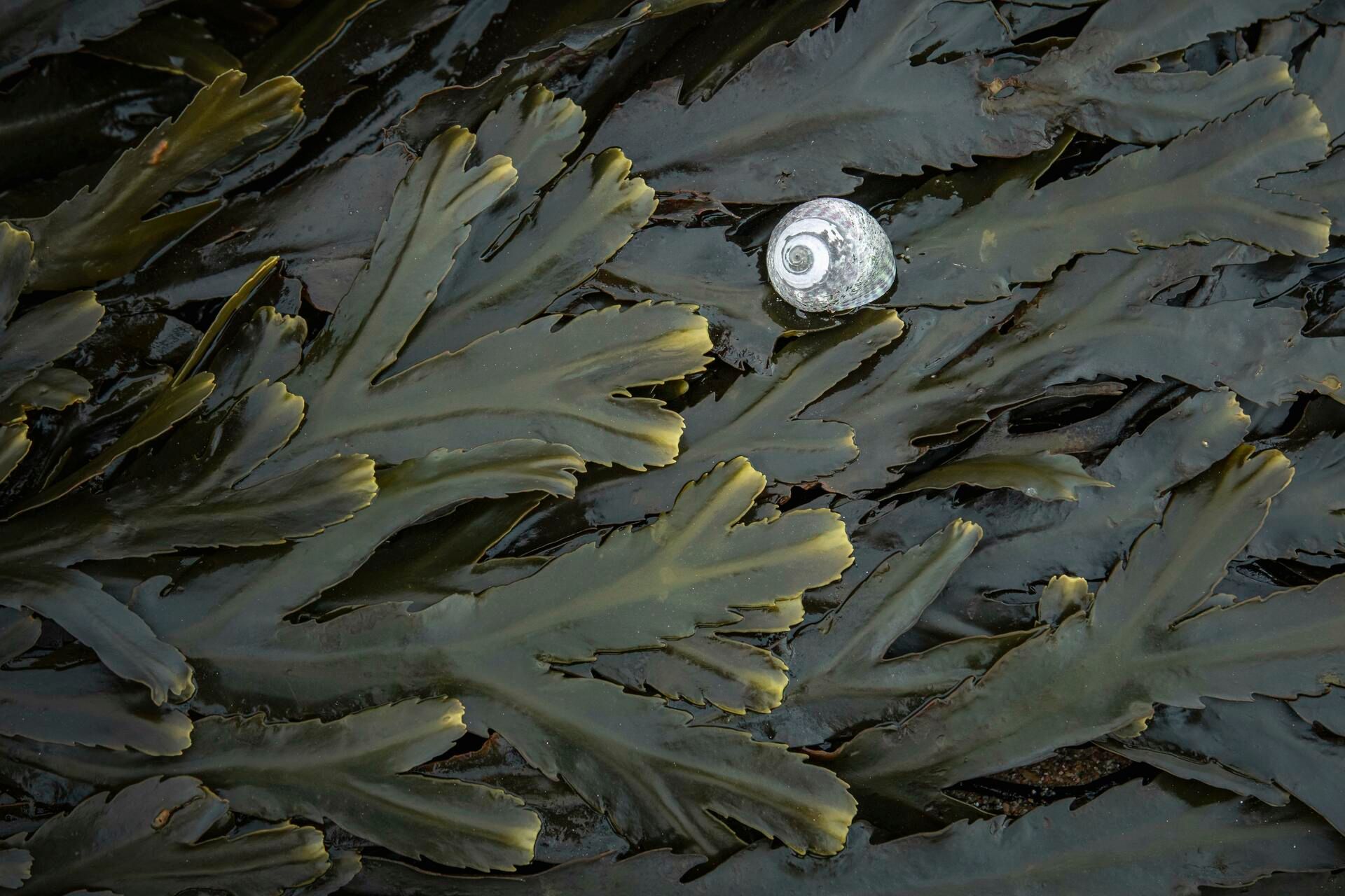 Landscape Photograph